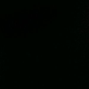 Meet your Posher, Shady